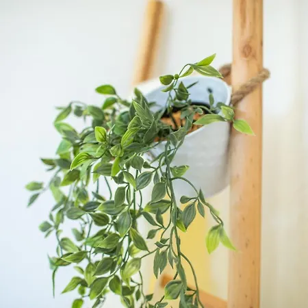 Apartamento Landparadies Im Sauerland Bestwig