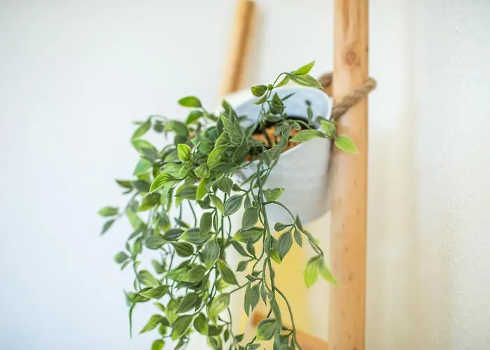 Apartman Landparadies Im Sauerland Bestwig